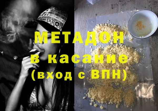 индика Новодвинск