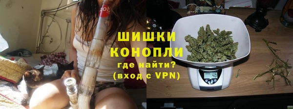 гидра Тайга