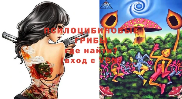 мяу мяу кристалл Няндома