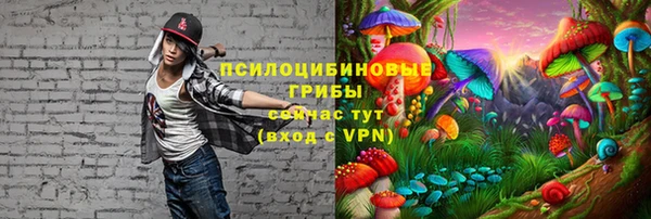 apvp Нягань