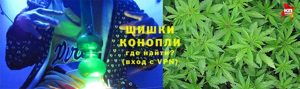 гидра Тайга